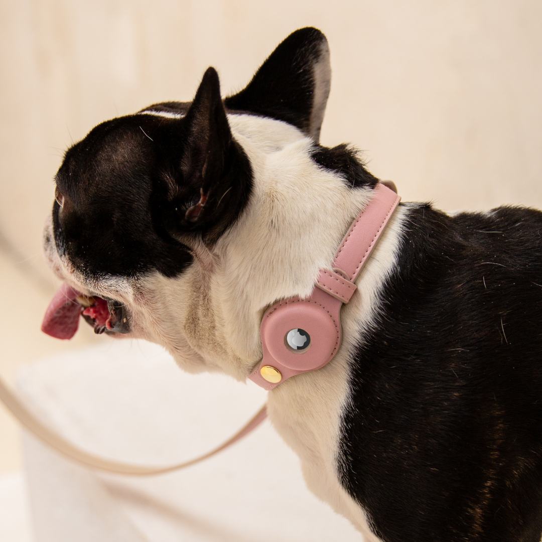 Necklace - Air Tag Enabled - Vegan Leather - Cupertino