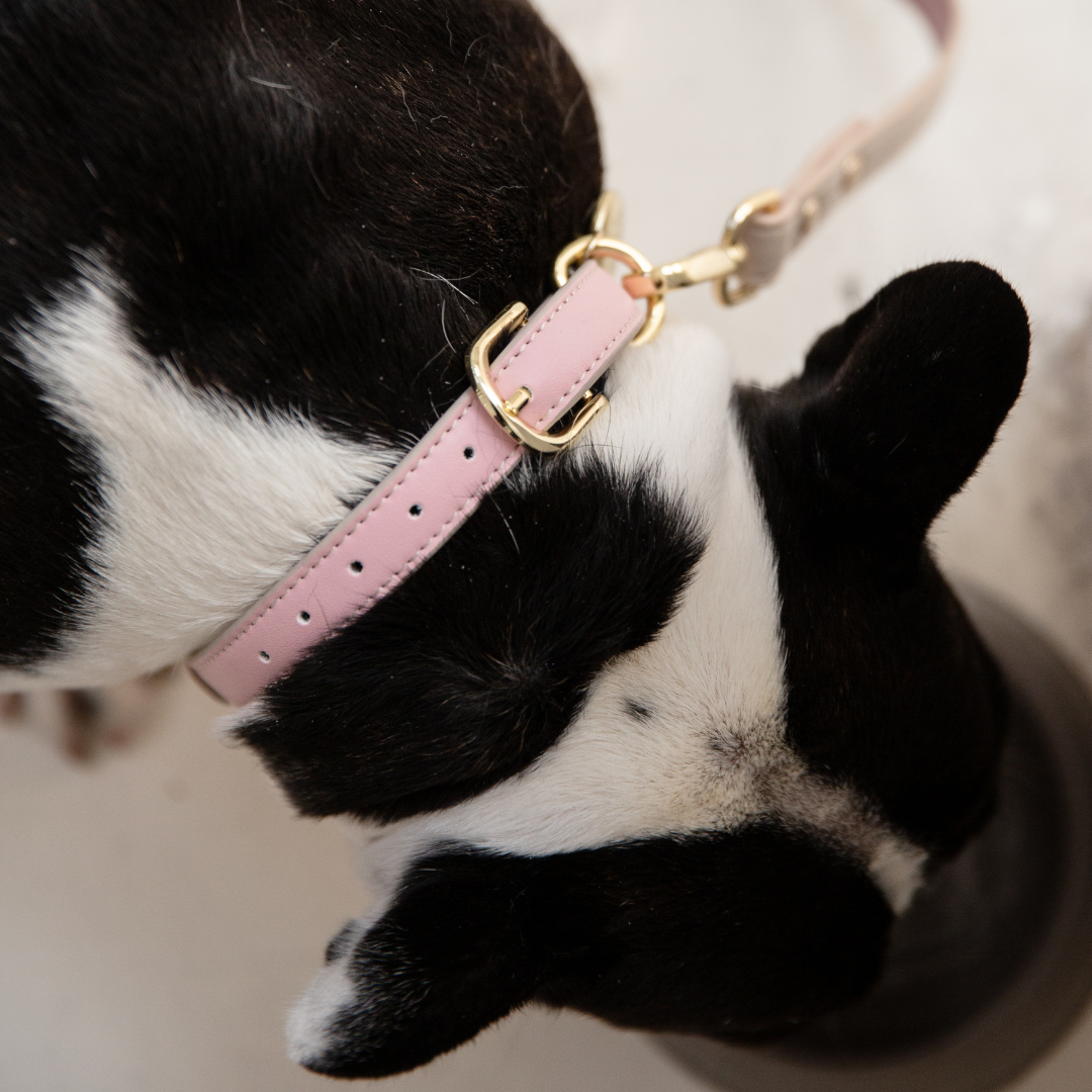 Necklace - Air Tag Enabled - Vegan Leather - Cupertino
