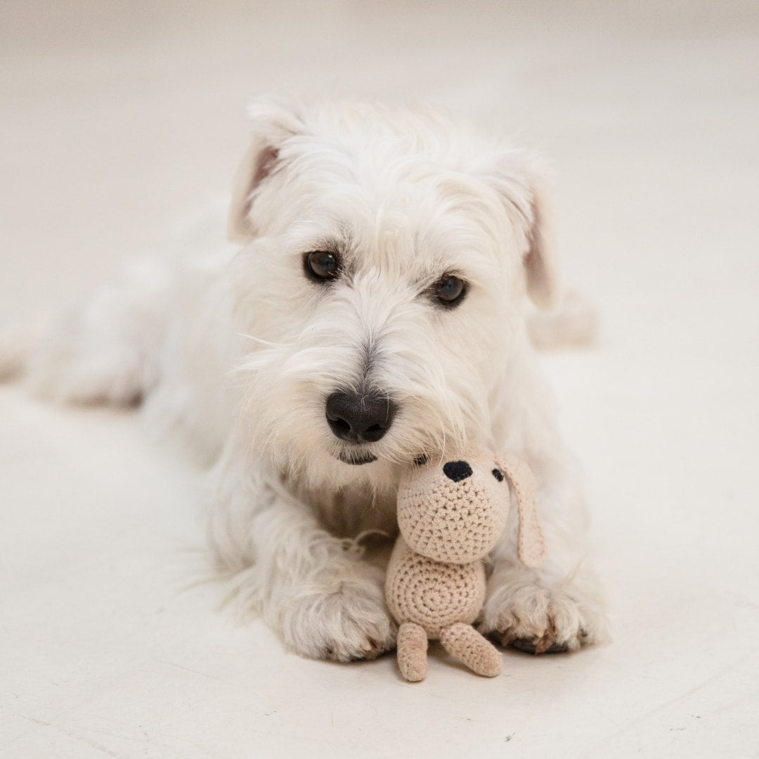 Organic Dog Toy