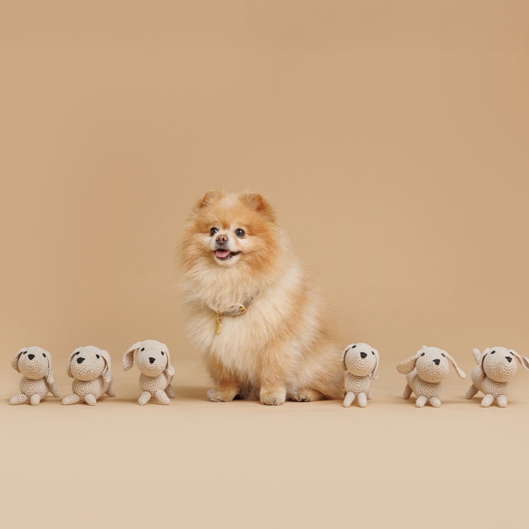 Organic Dog Toy