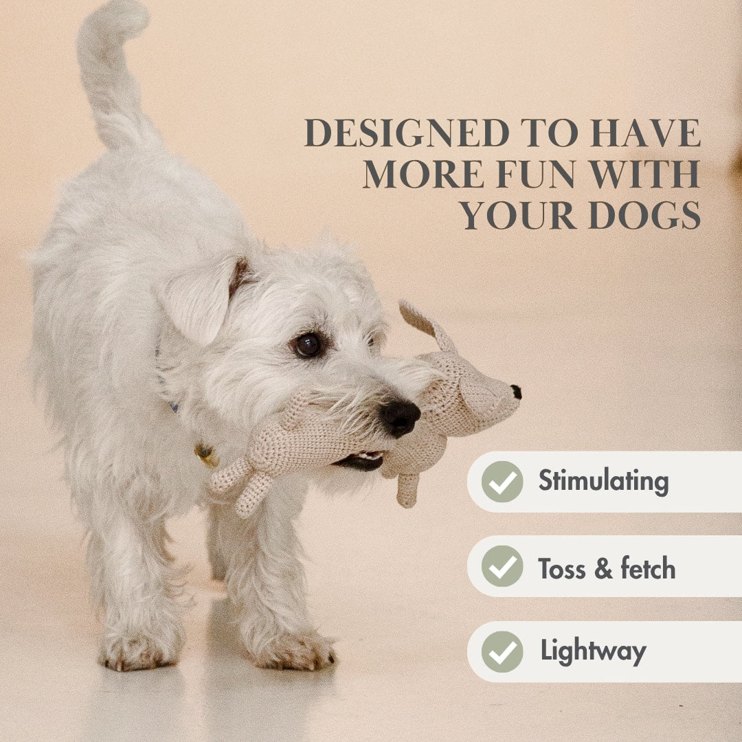 Organic Dog Toy