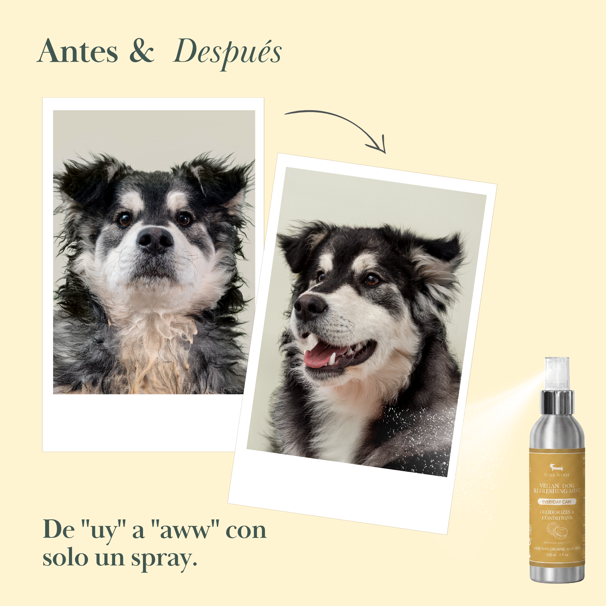 Deodorizing Spray