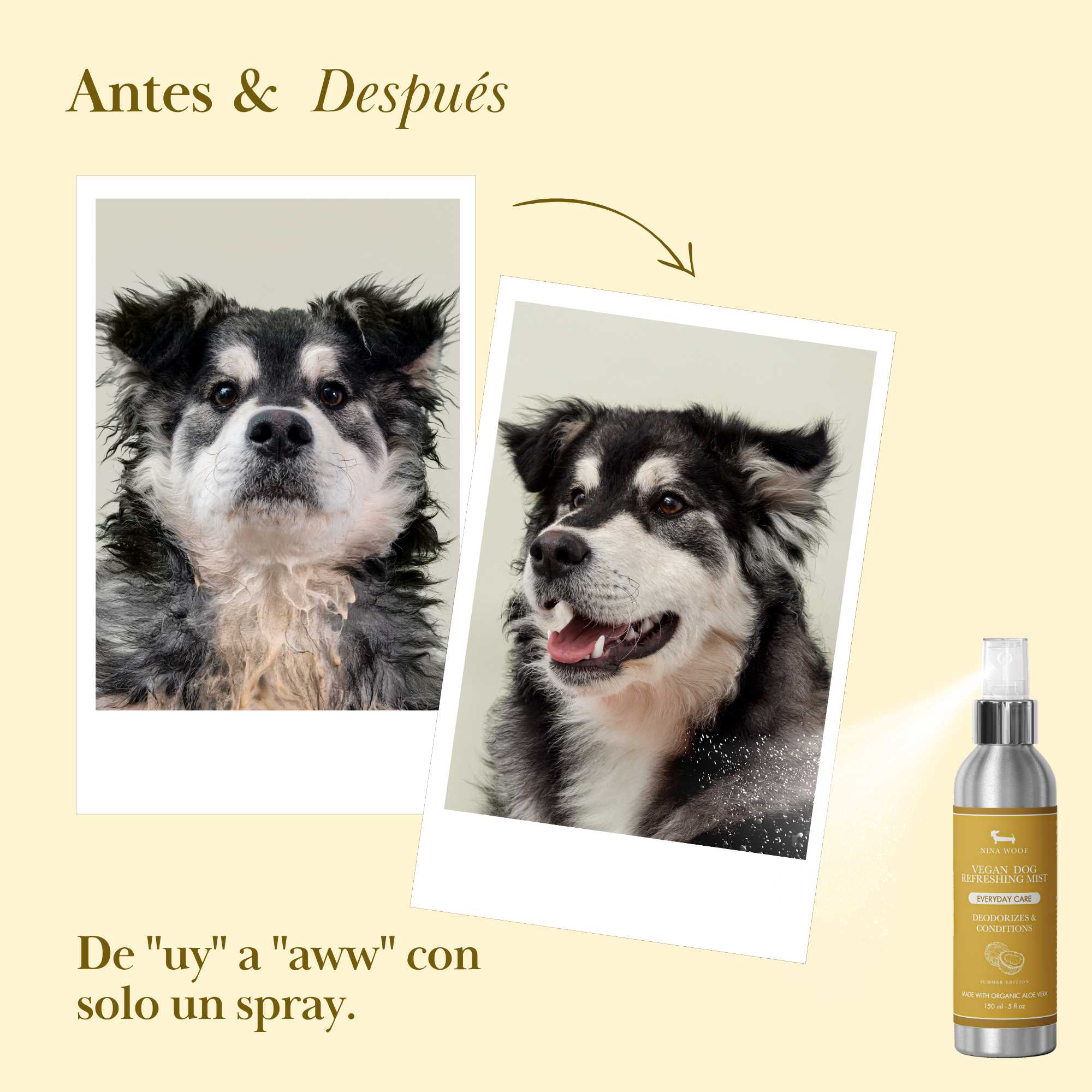Deodorizing Spray