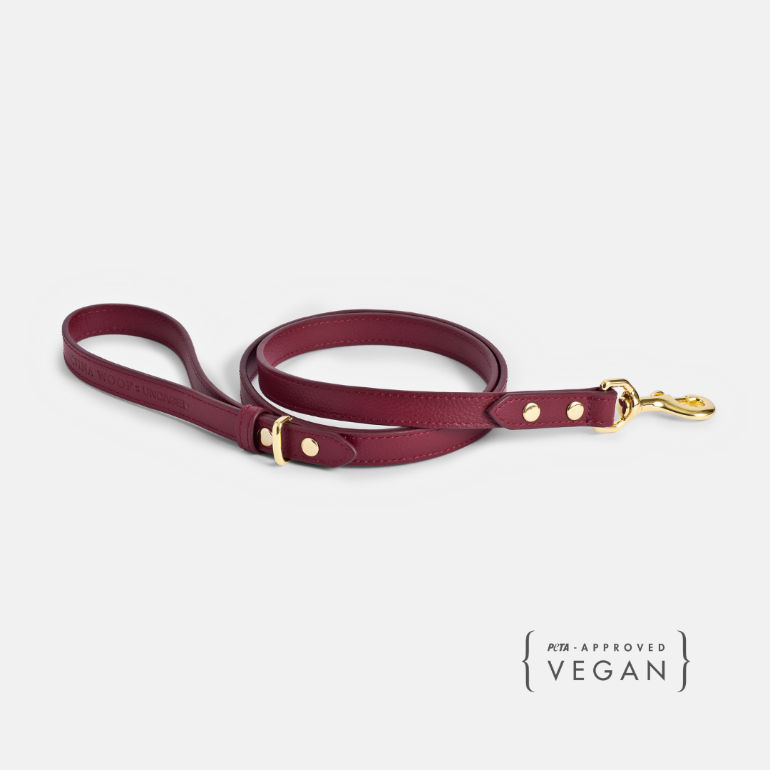 ELEVATE Cherry Leash
