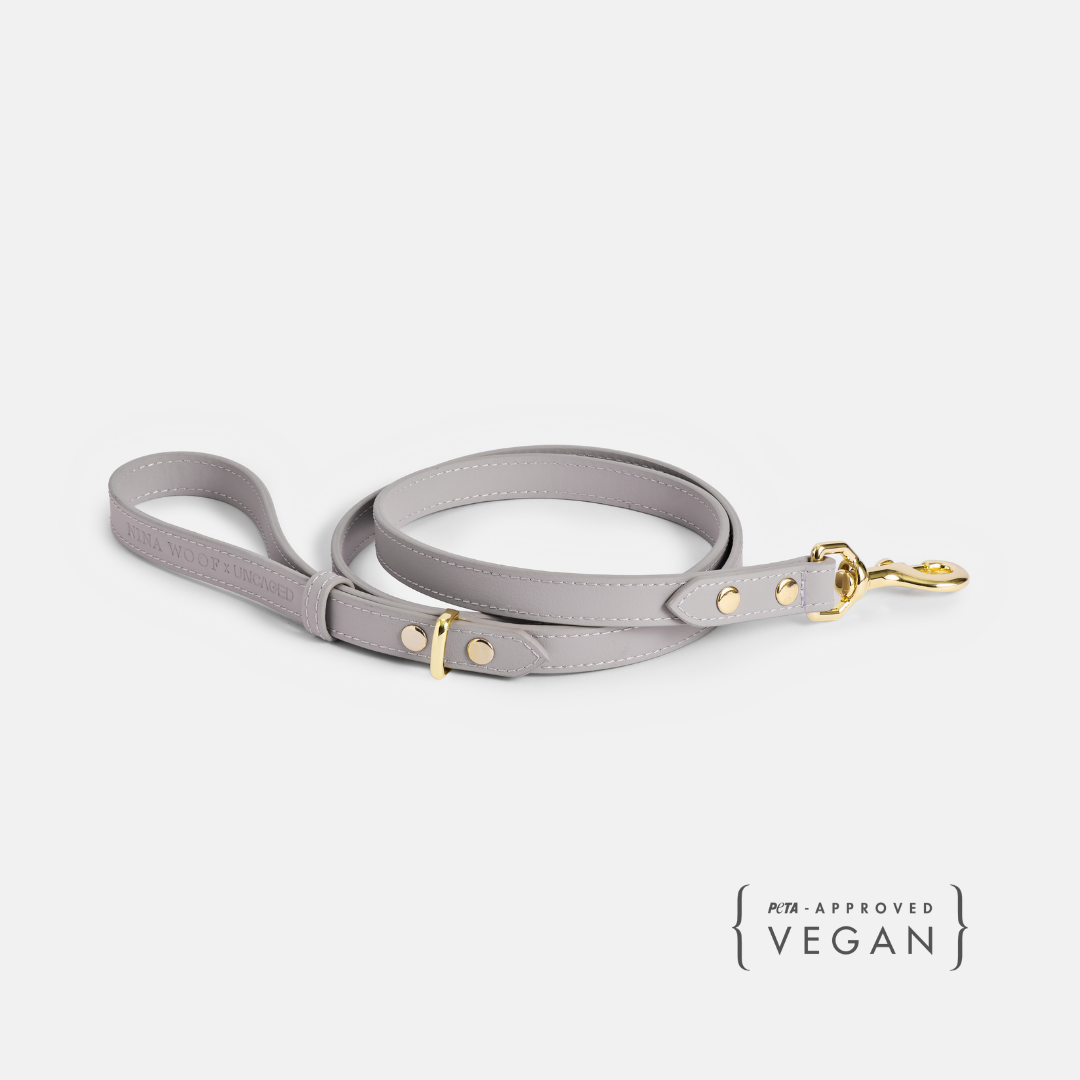 ELEVATE Cloud Leash