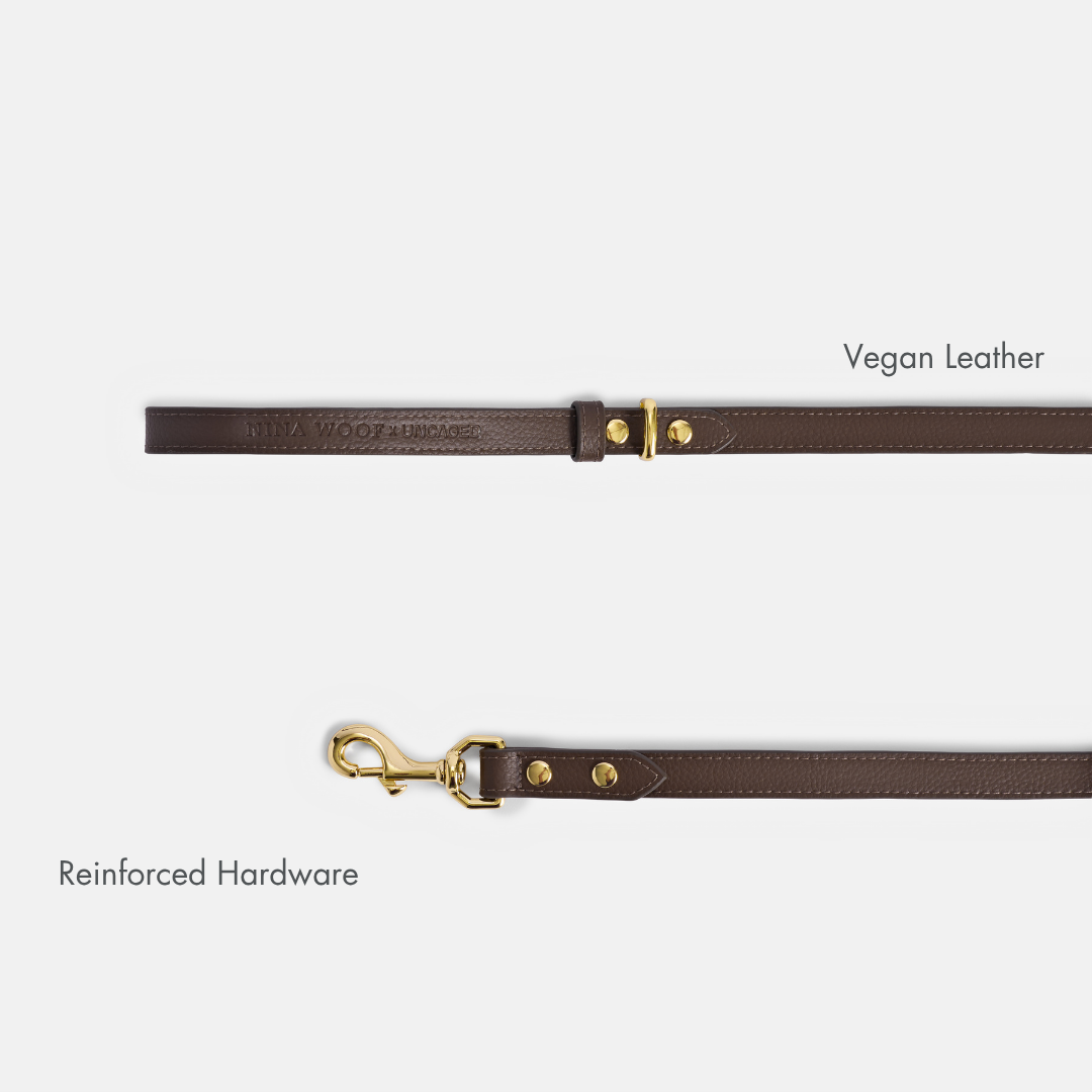 Elevate Coffee Leash