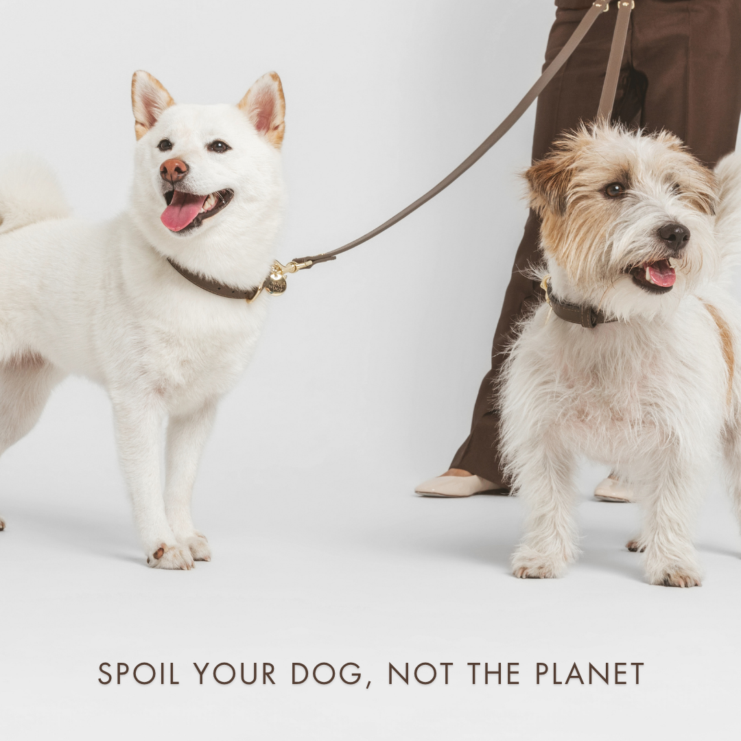 Elevate Coffee Leash