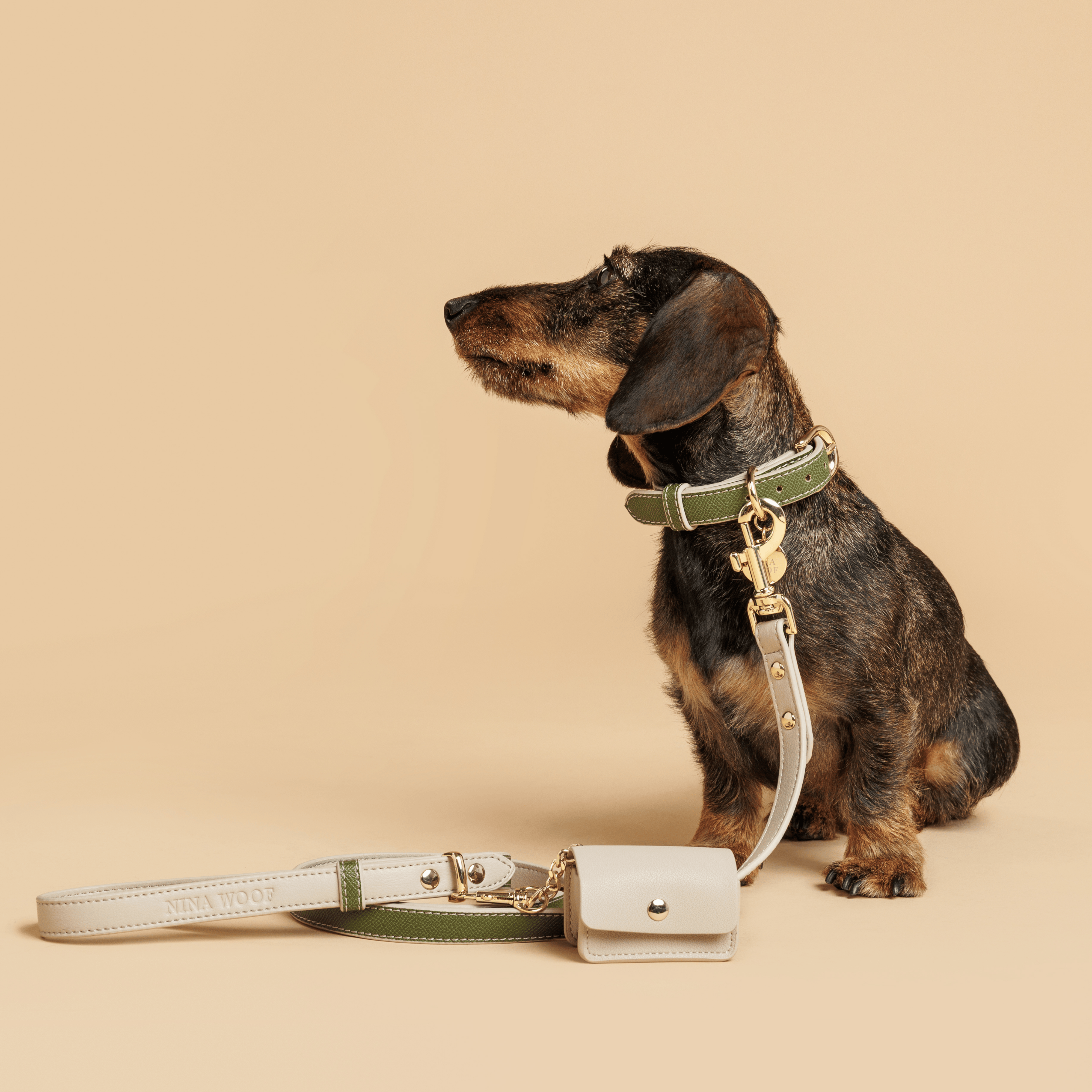 Olive Leash