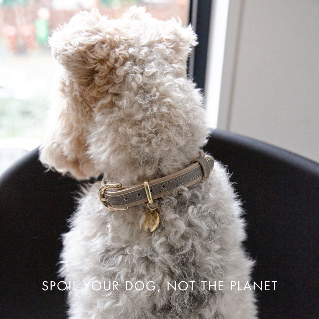 Collier - Cuir Vegan - Londres