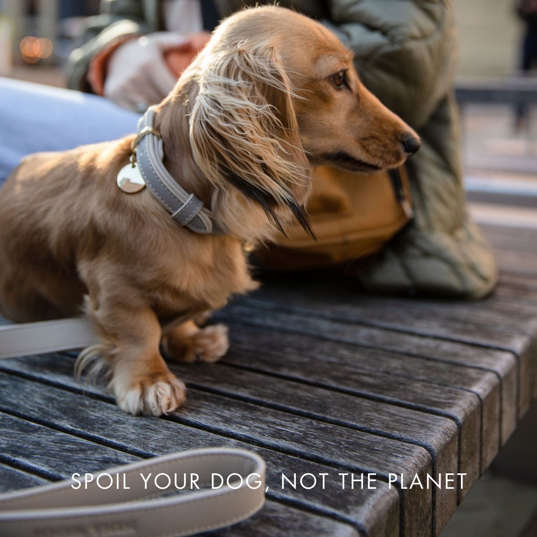 Lead 4ft - Vegan Leather - London