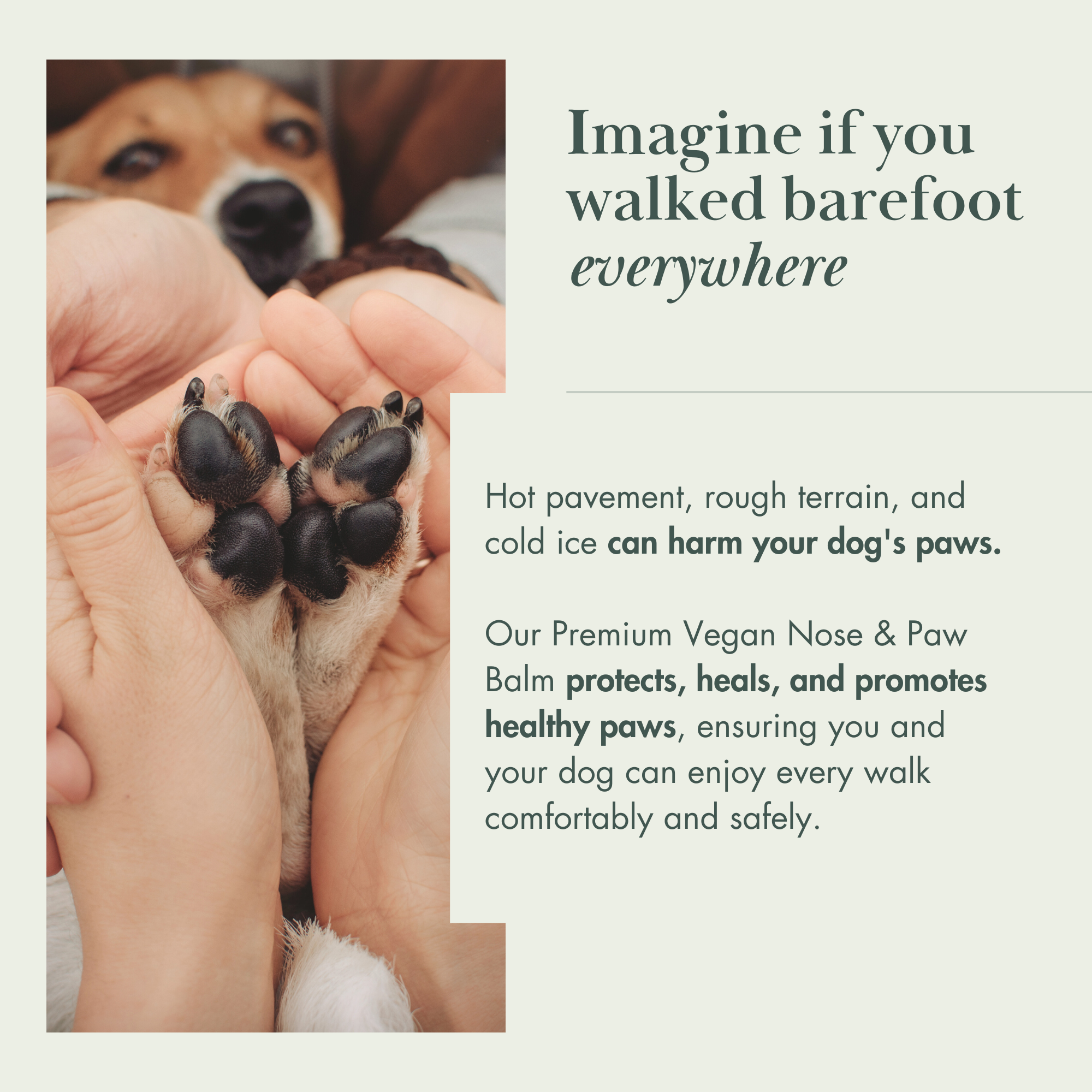 Vegan Dog Nose and Pad Balm