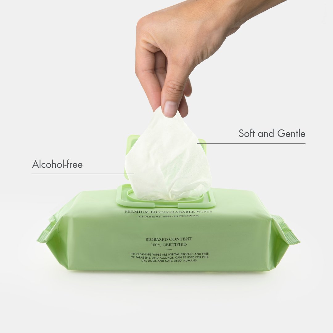 Biodegradable Wipes