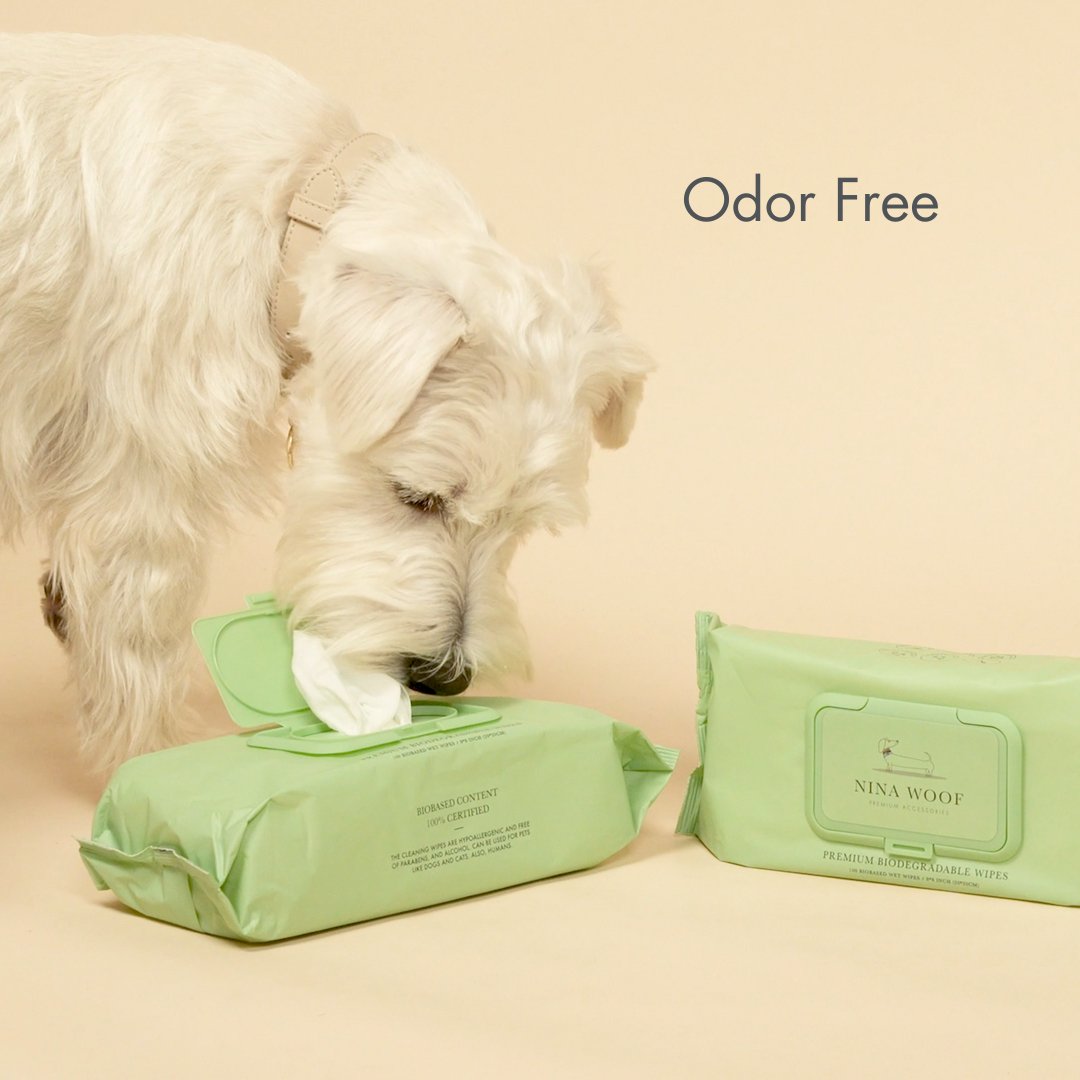Biodegradable Wipes