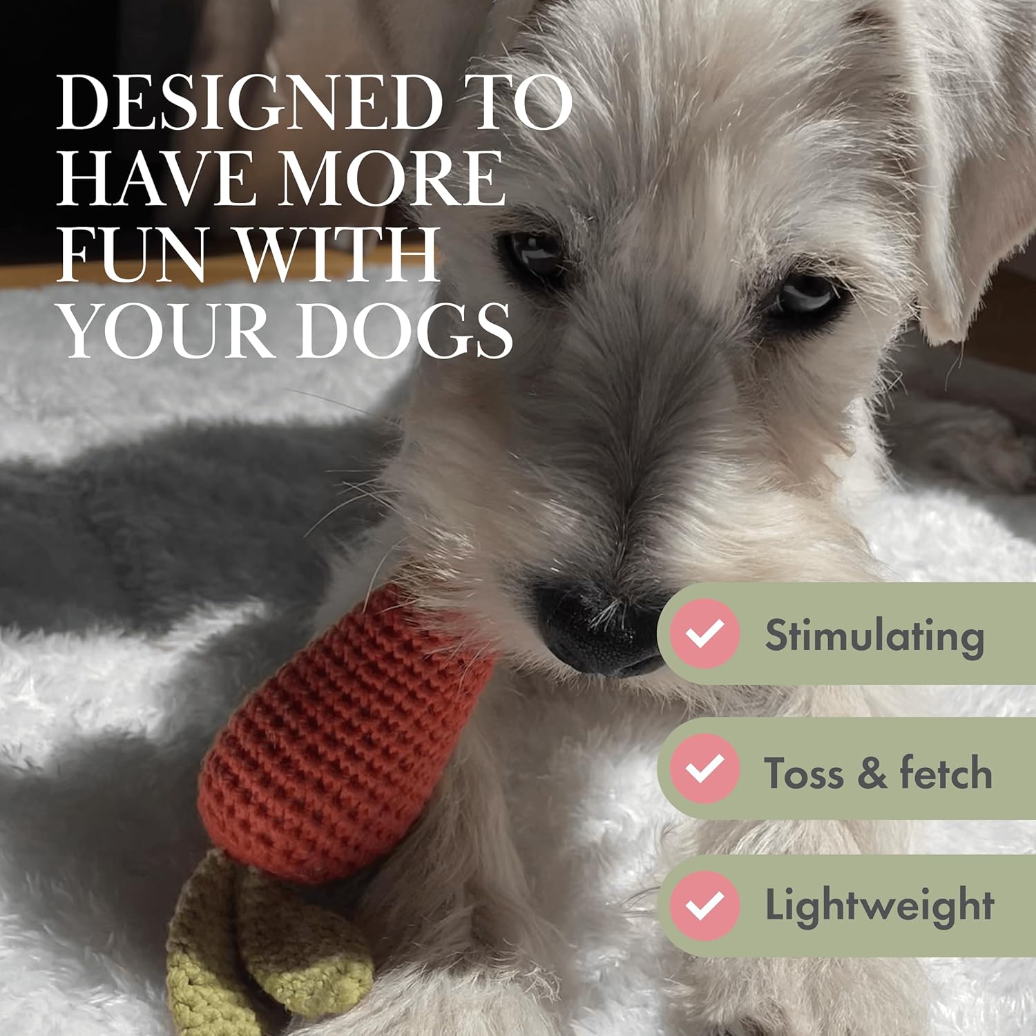Organic Veggie Toys Bundle
