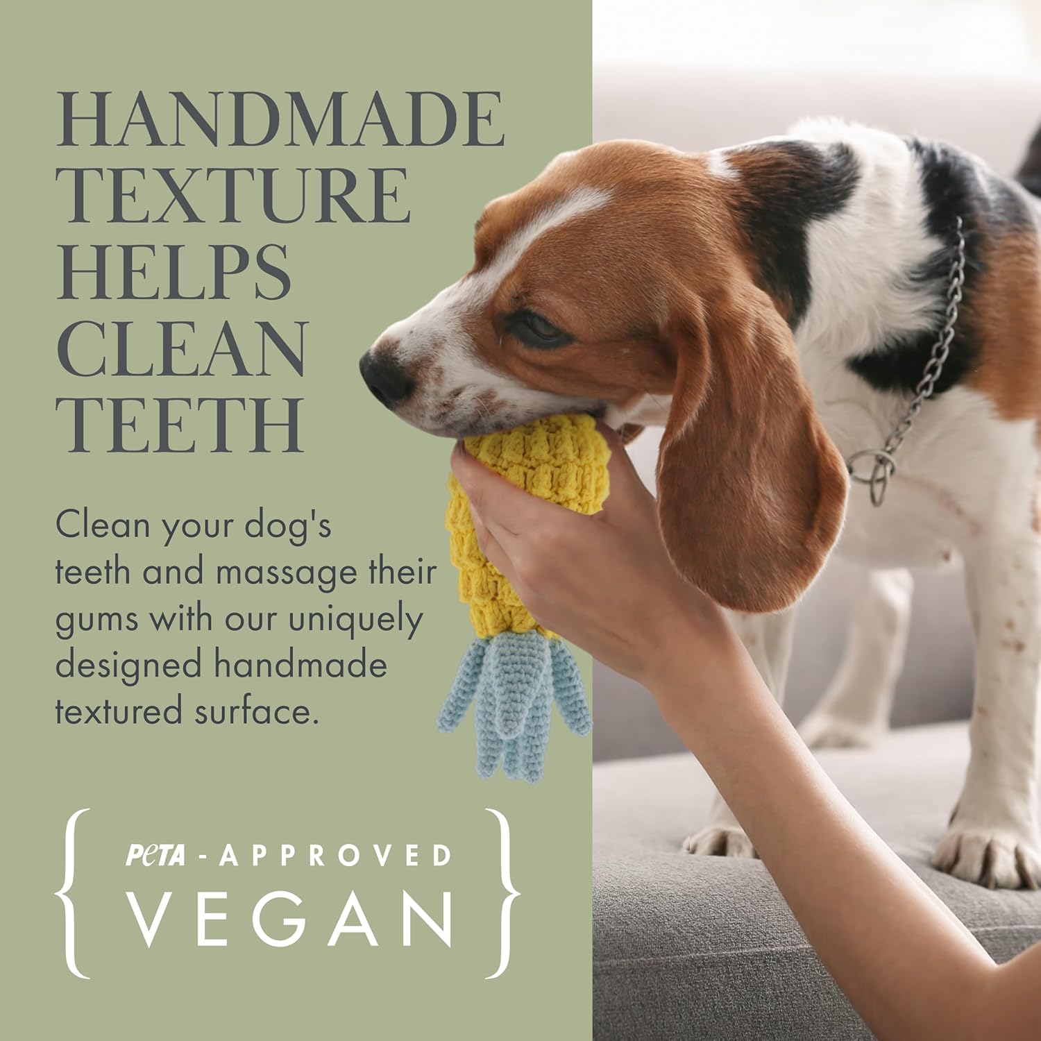 Organic Veggie Toys Bundle