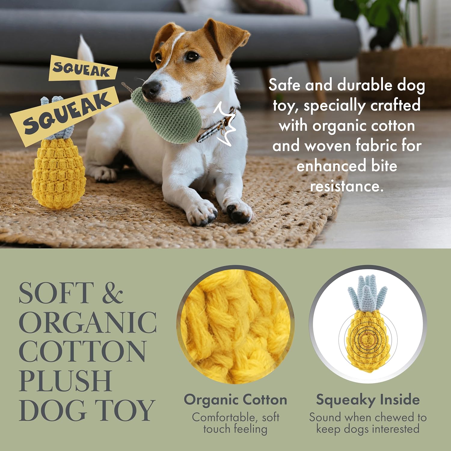 Organic Veggie Toys Bundle