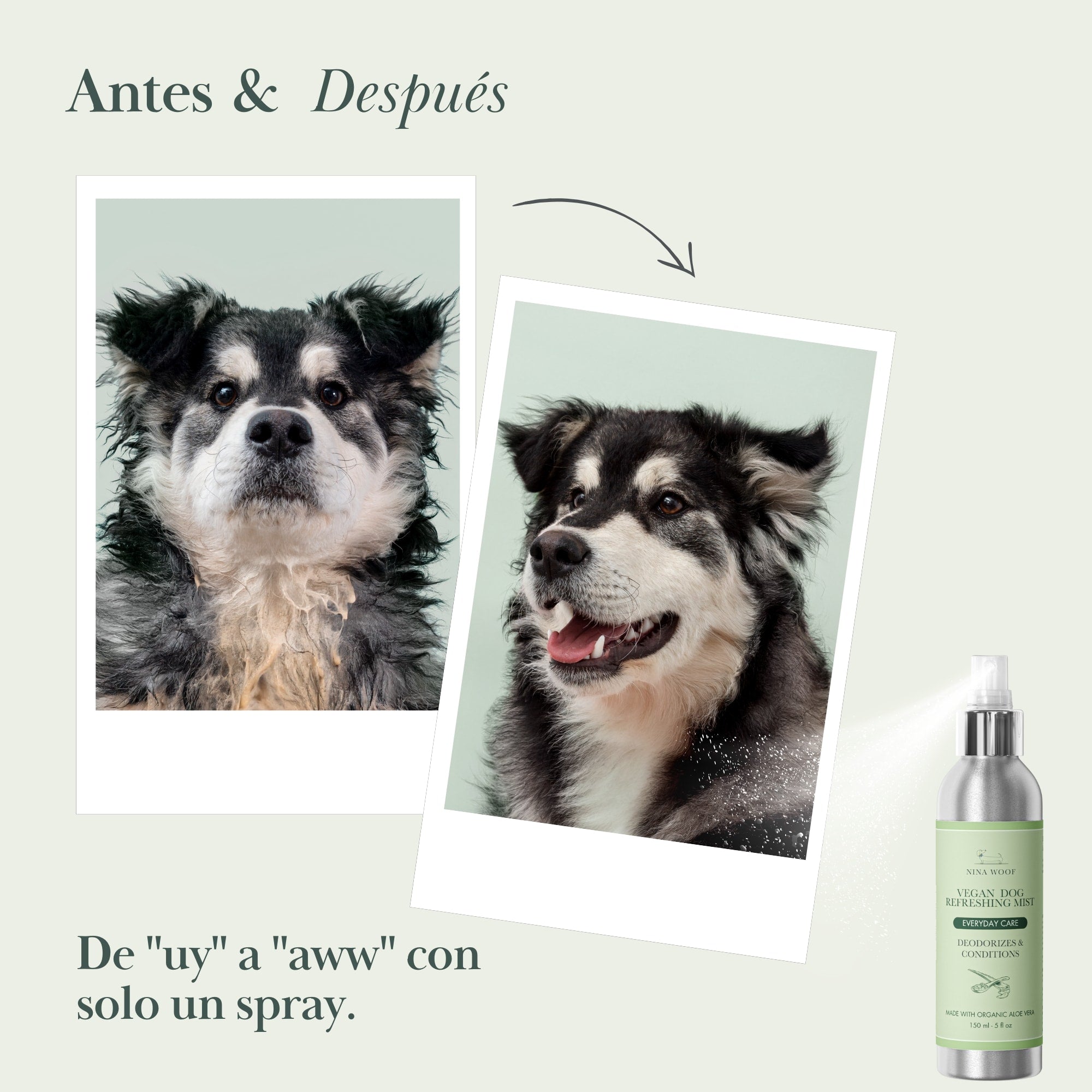 2-Pack - Deodorizing Spray - Vegan Refreshing Mist for Dogs