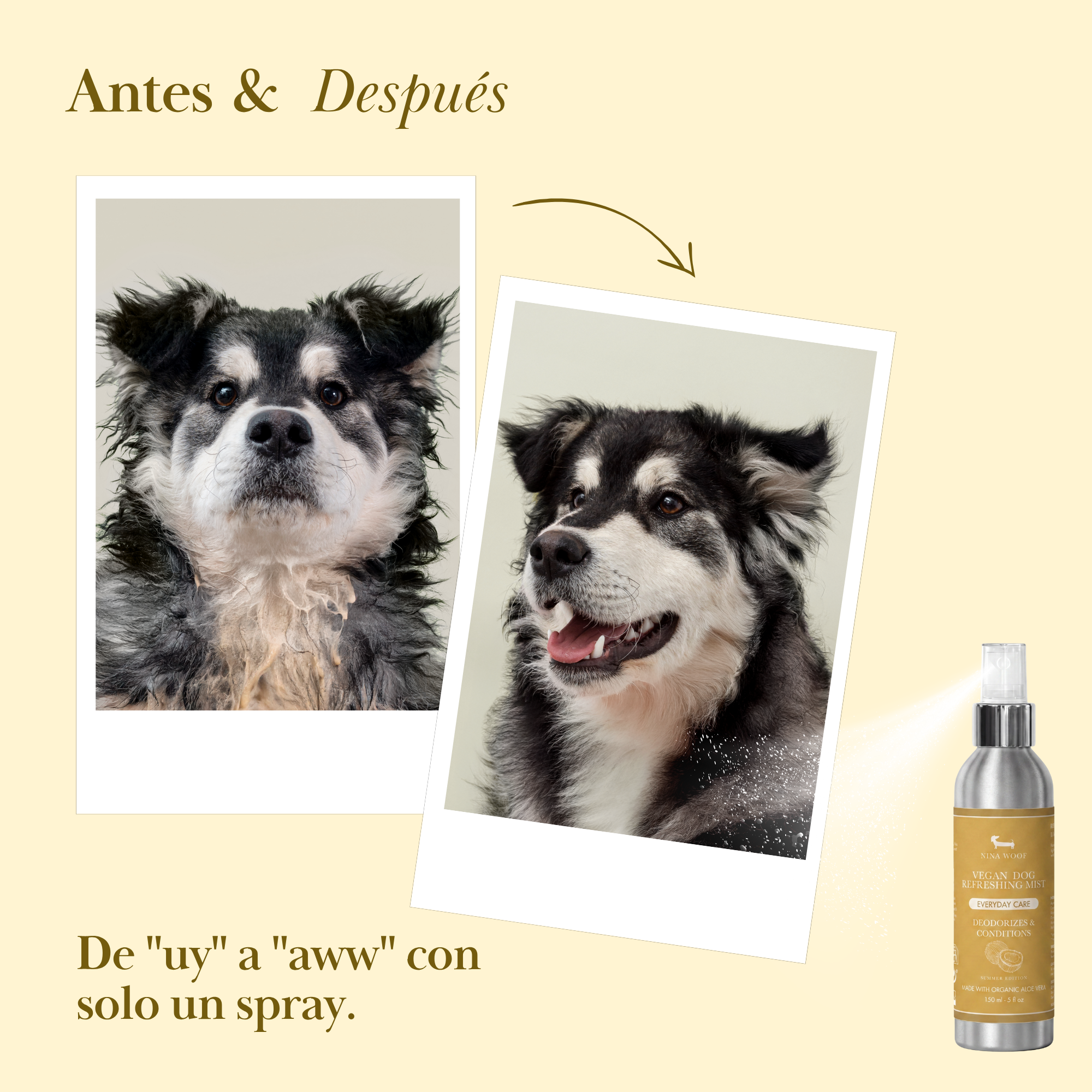 Deodorizing Spray