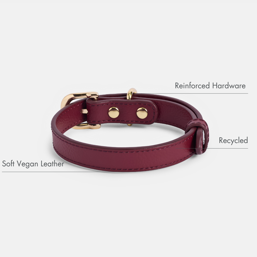 ELEVATE Cherry Collar