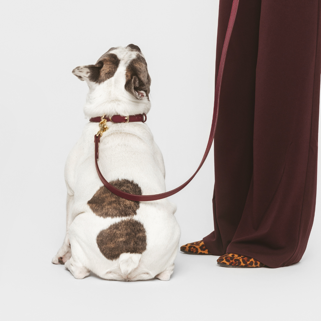 ELEVATE Cherry Collar