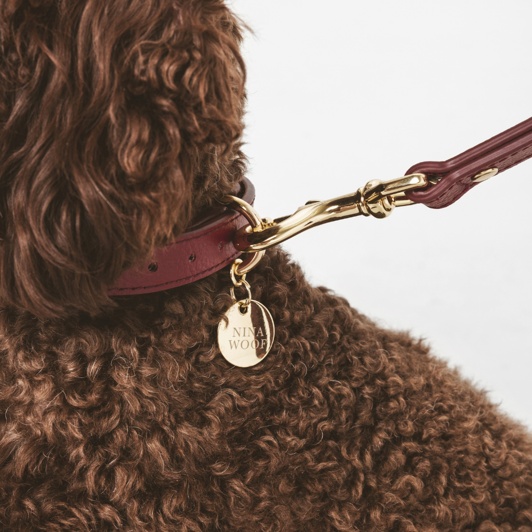 ELEVATE Cherry Collar