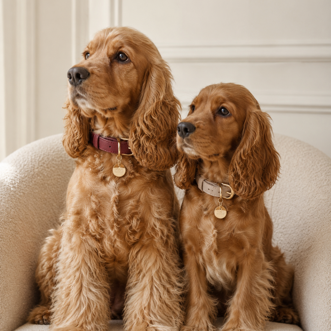 ELEVATE Cherry Collar