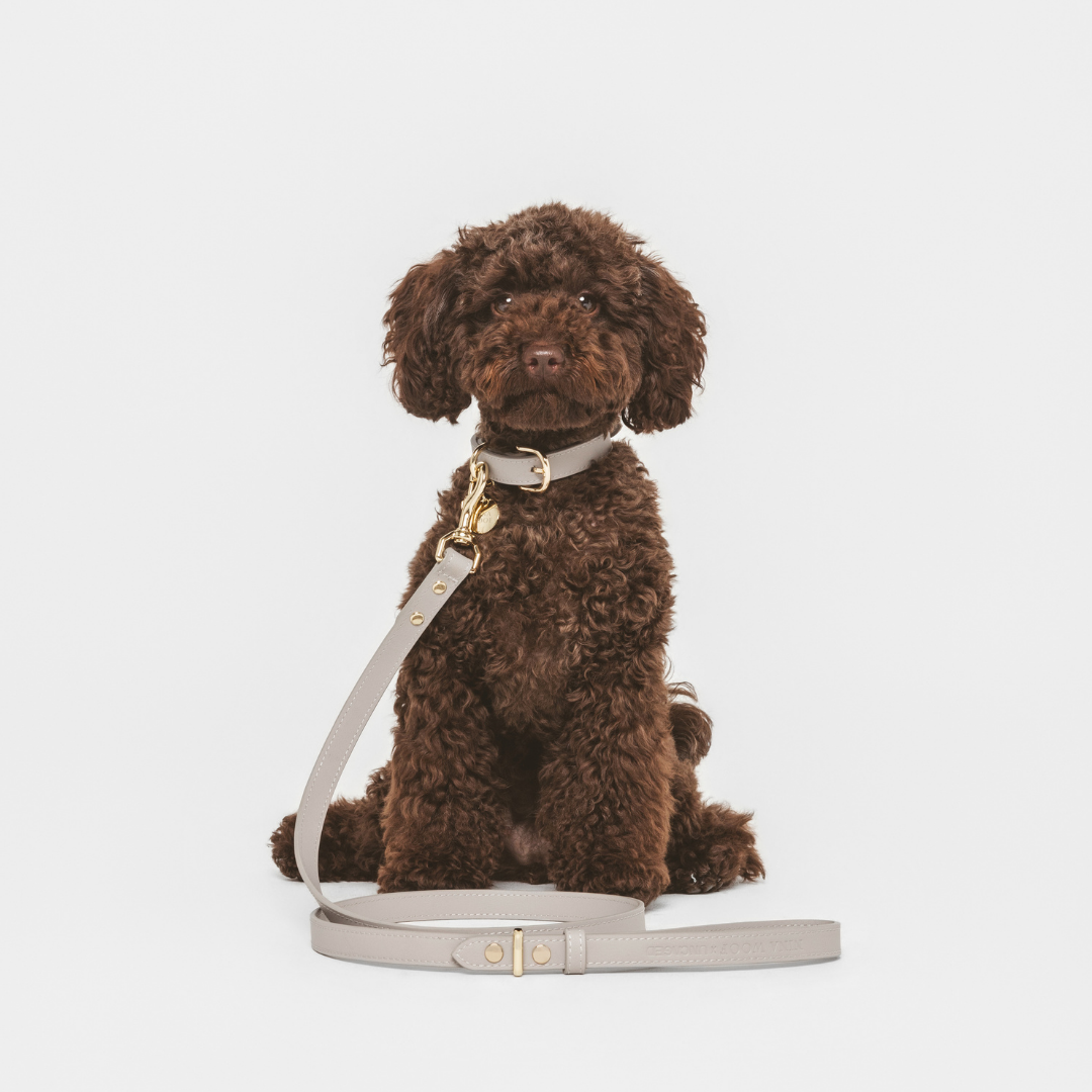ELEVATE Cloud Collar