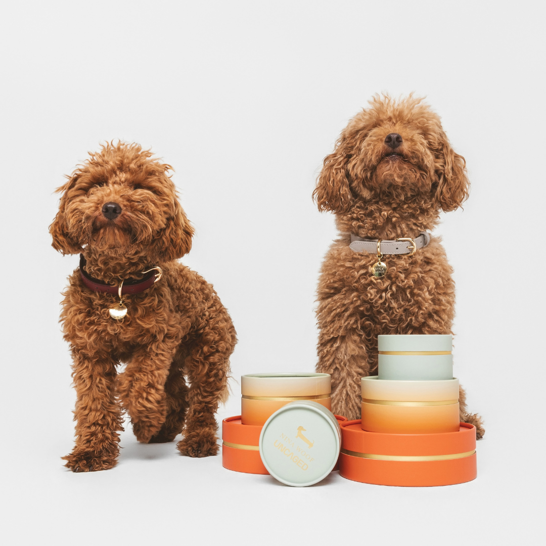 ELEVATE Cloud Collar