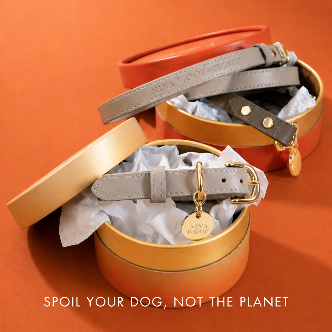 ELEVATE Cloud Collar