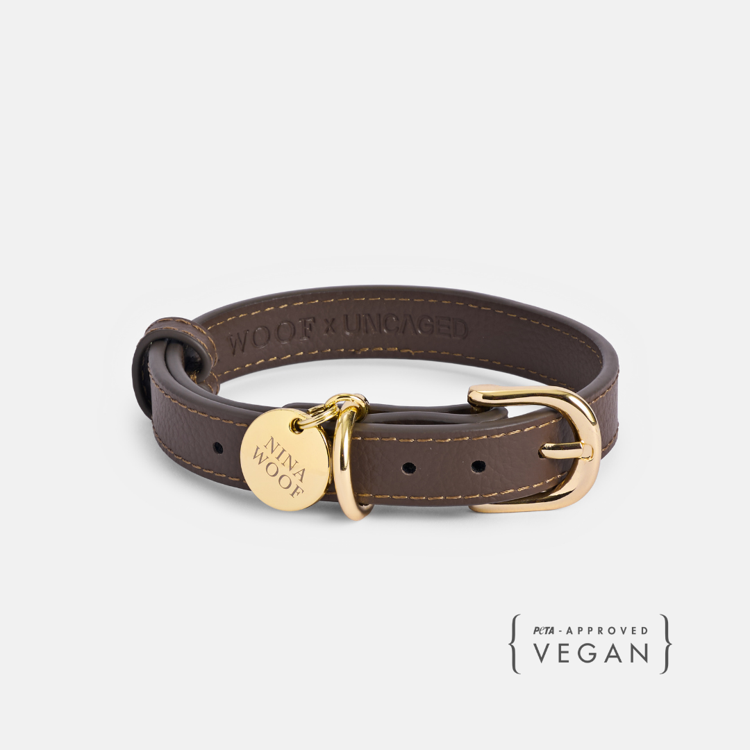 ELEVATE Coffee Collar