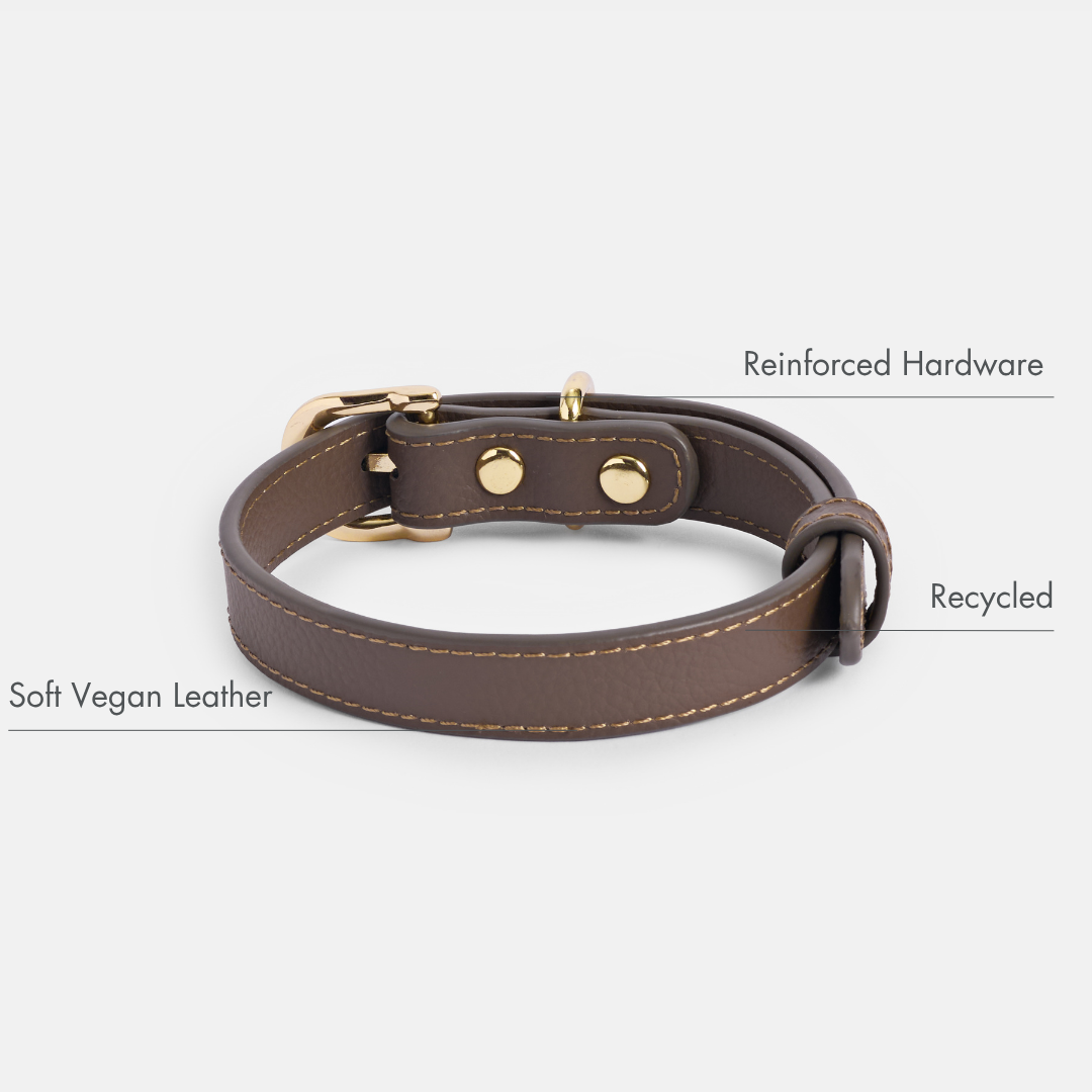 ELEVATE Coffee Collar