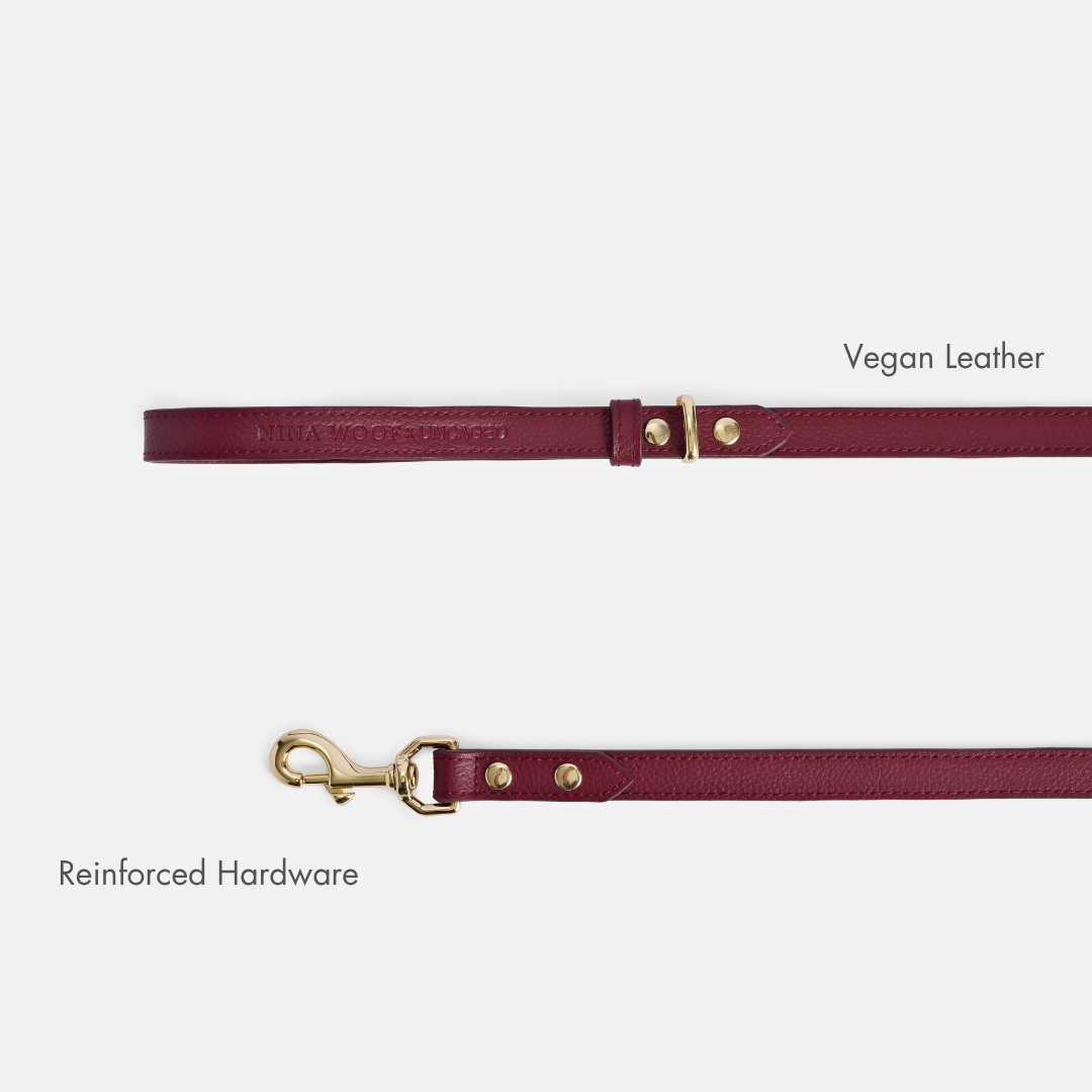 ELEVATE Cherry Leash