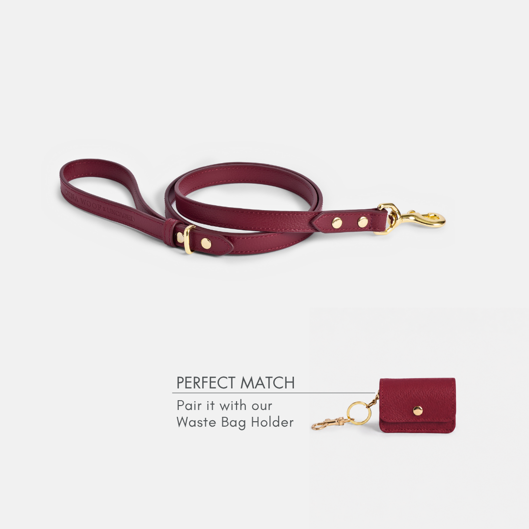ELEVATE Cherry Leash