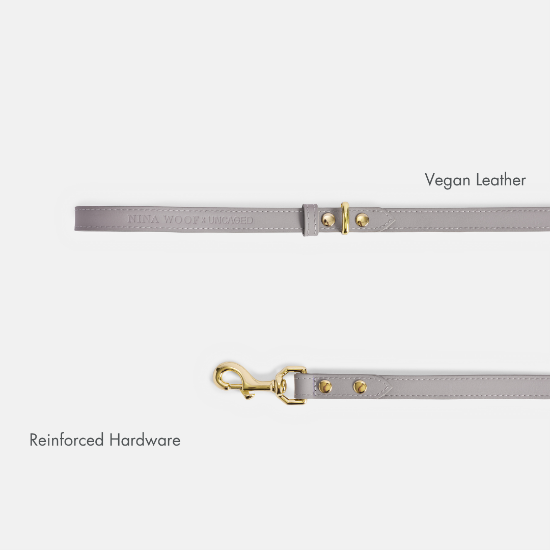 ELEVATE Cloud Leash