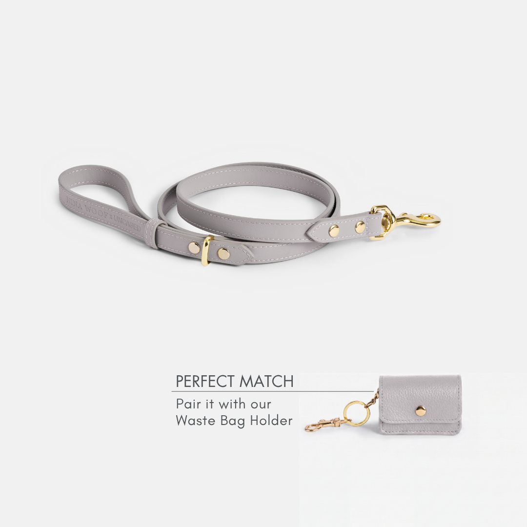 ELEVATE Cloud Leash