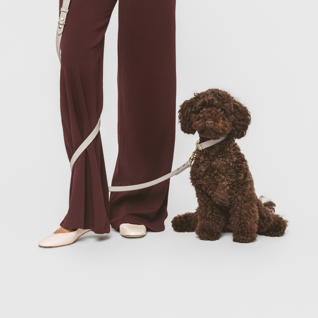 ELEVATE Cloud Leash