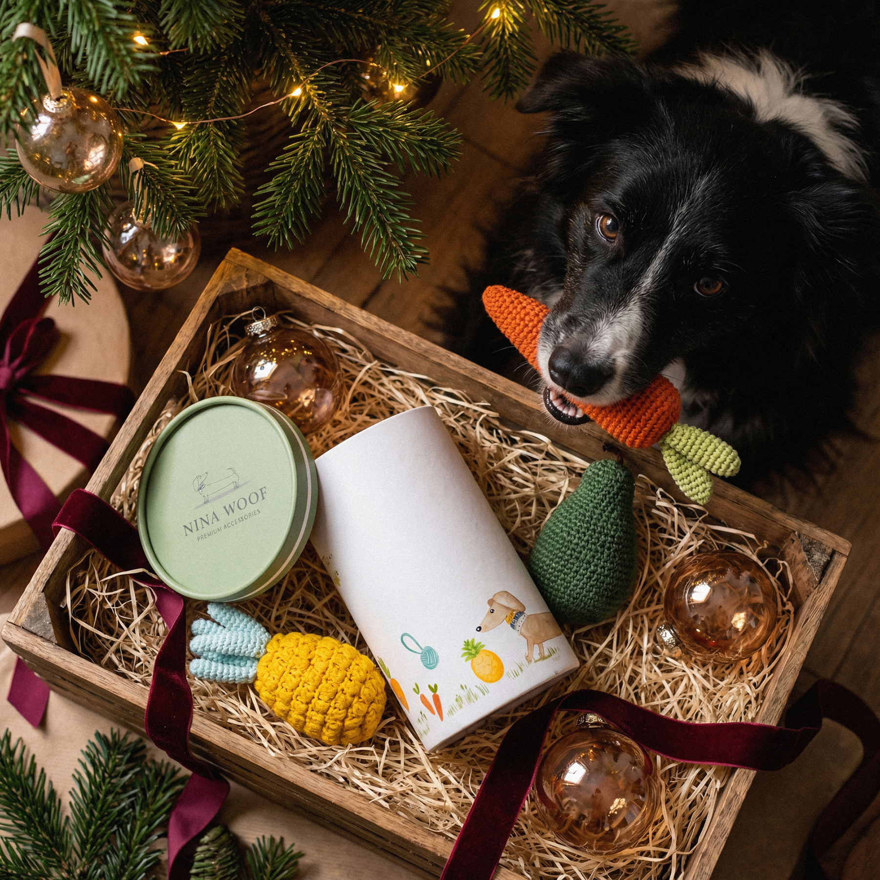 Organic Veggie Toys Bundle