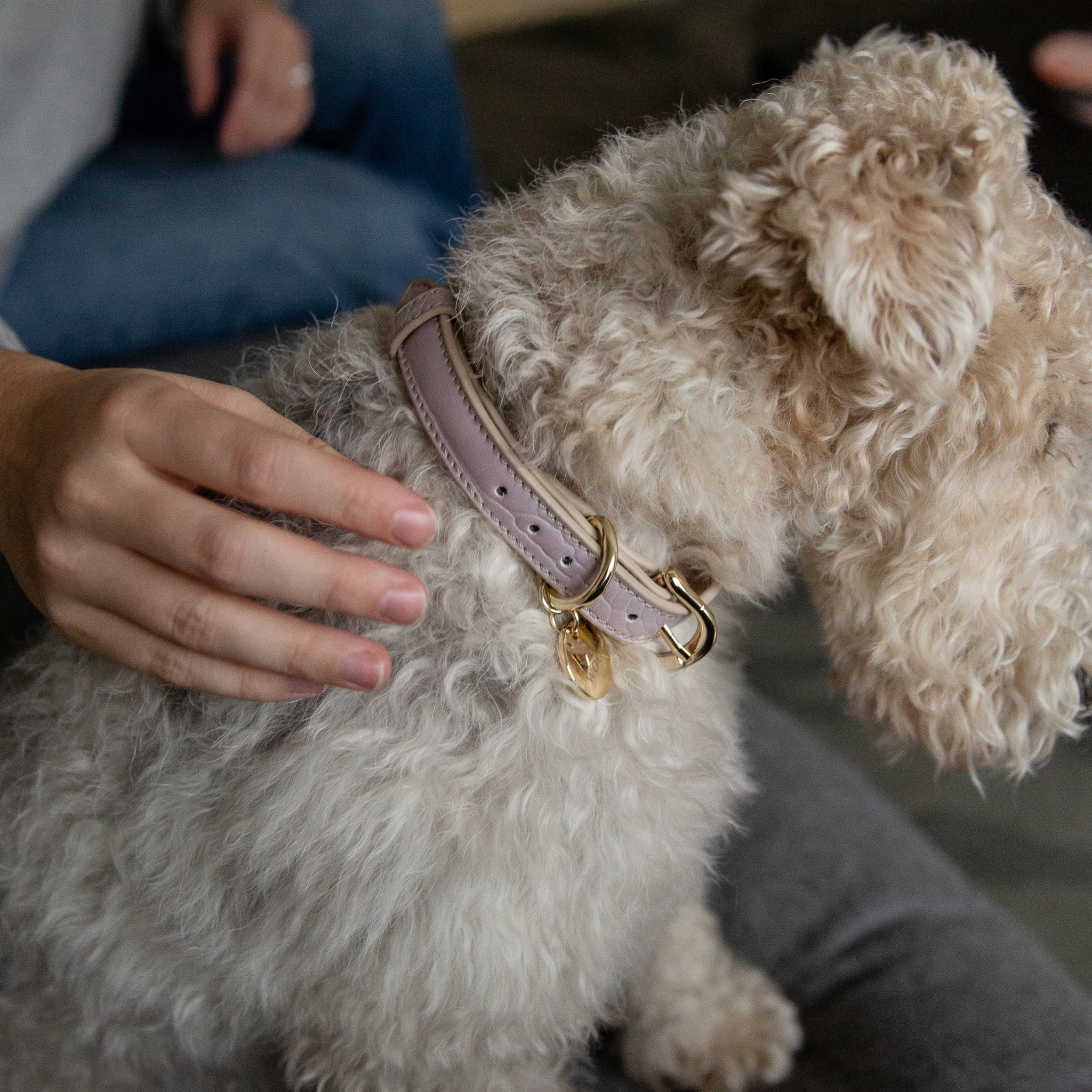 Collar - Vegan Leather - Milan