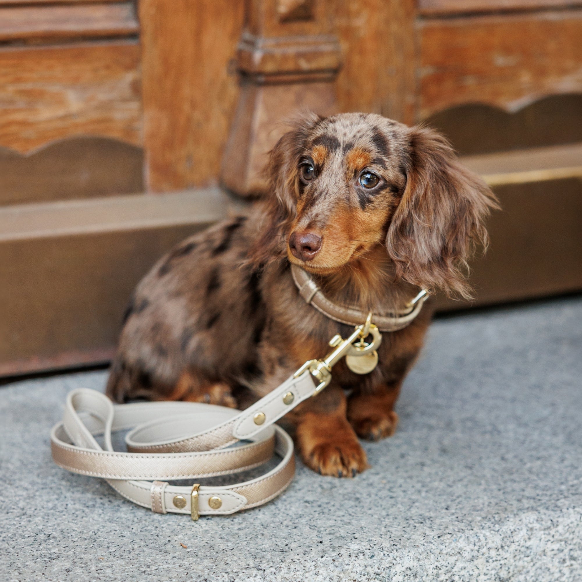 Collar - Vegan Leather - Rio Gold