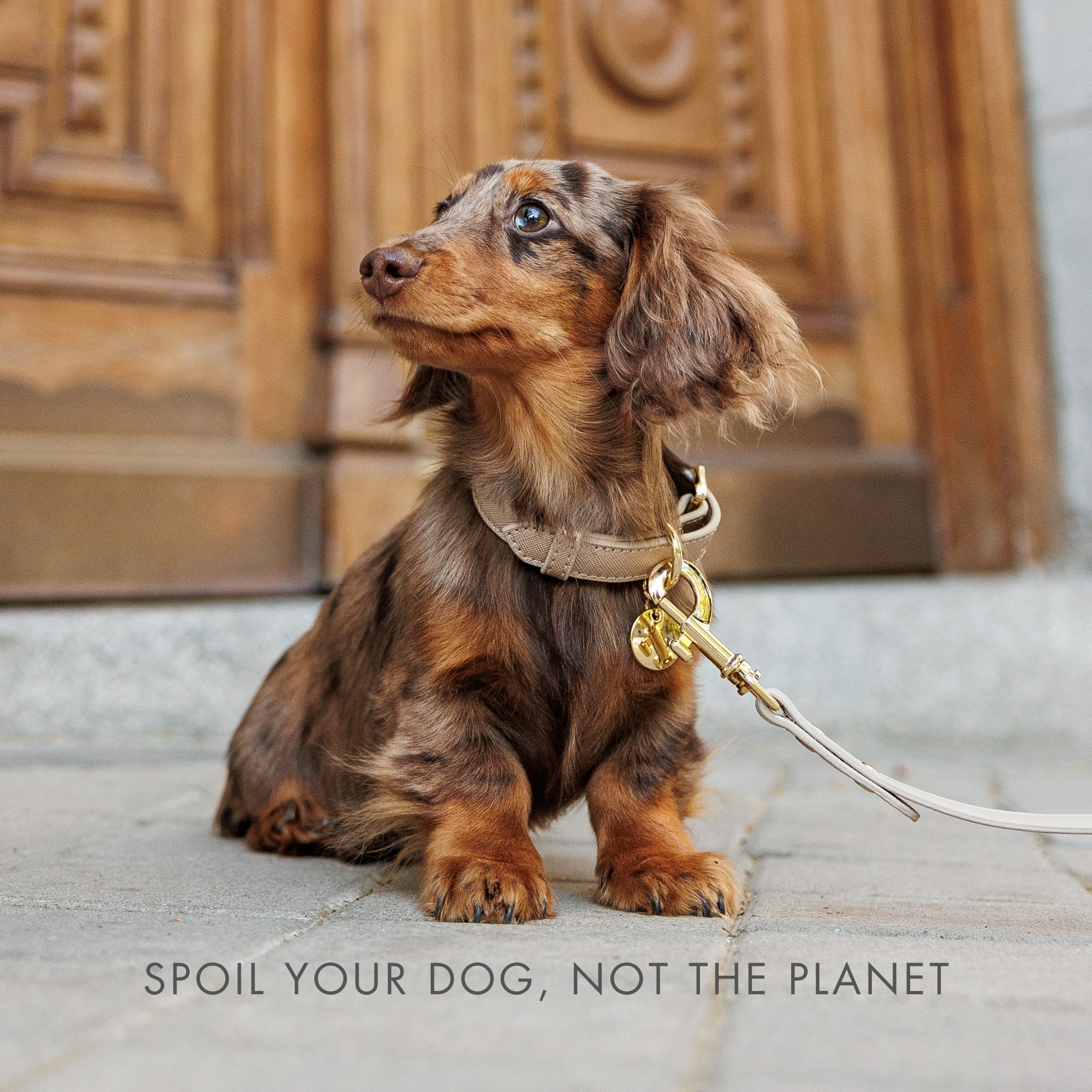 Collar - Vegan Leather - Rio Gold