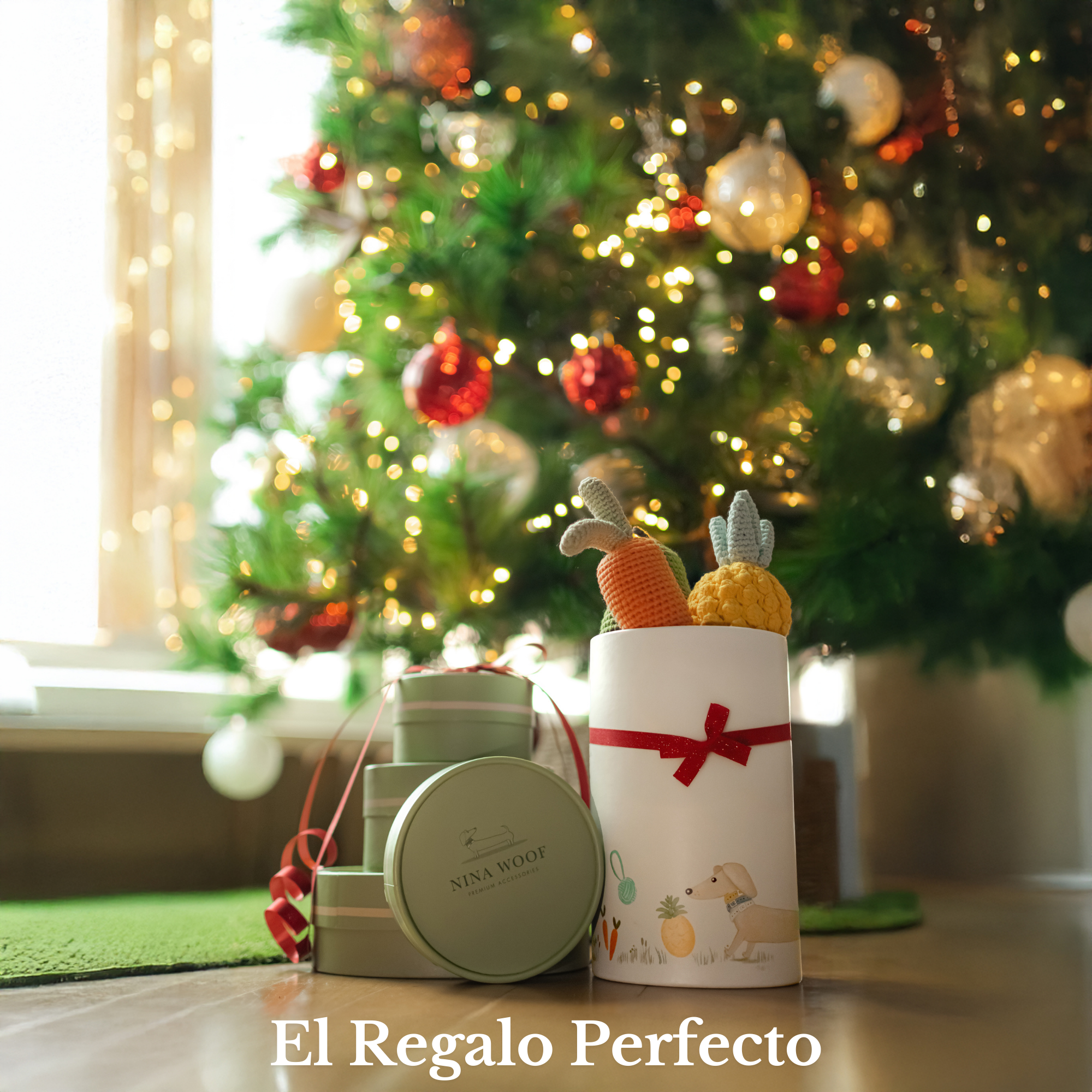 Organic Veggie Toys Bundle